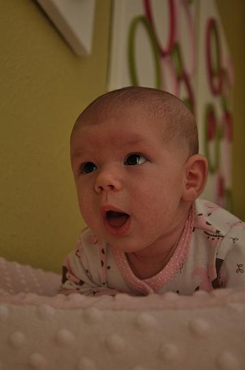 Downsized Image [AMTweek3-01.JPG - 4031kB]