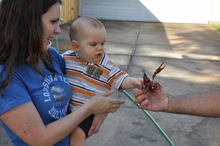 Jackson Petting Crawfish