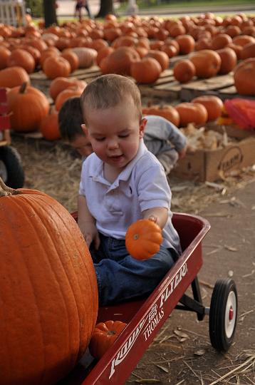 Downsized Image [PumpkinPatch-01.JPG - 4331kB]