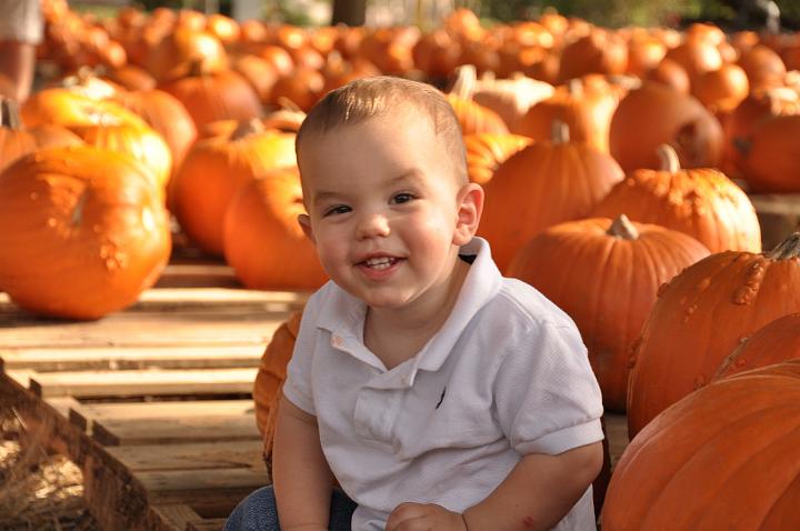 Jackson in the Pumpkin Patch