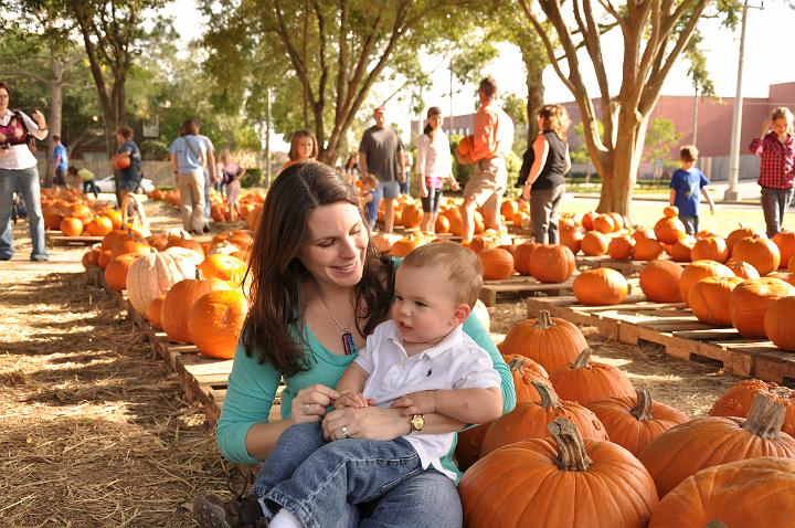 Downsized Image [PumpkinPatch-14.JPG - 5403kB]