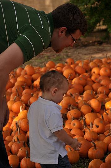 Downsized Image [PumpkinPatch-15.JPG - 4465kB]