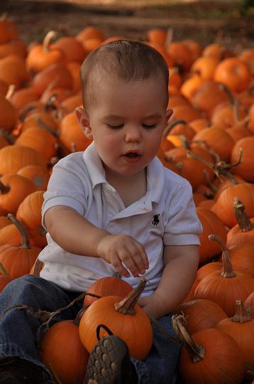 Jackson in the Pumpkin Patch