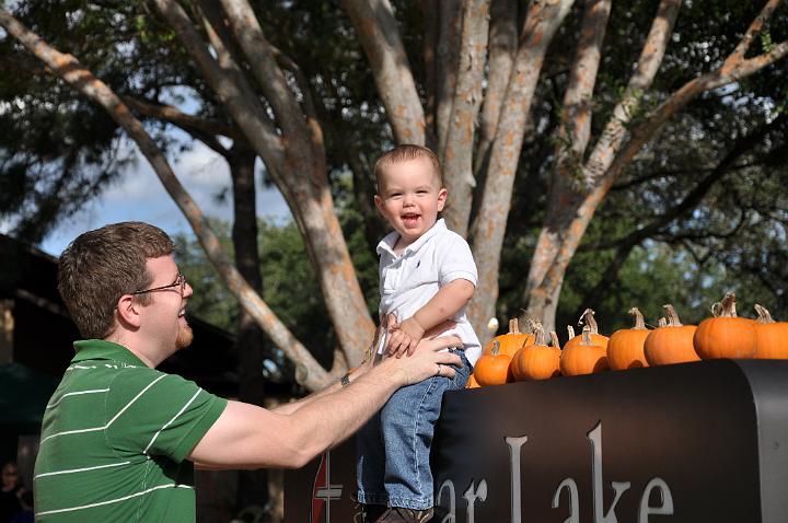 Downsized Image [PumpkinPatch-17.JPG - 4835kB]