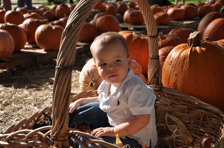 Jackson in the Pumpkin Patch