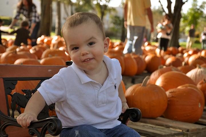 Jackson in the Pumpkin Patch