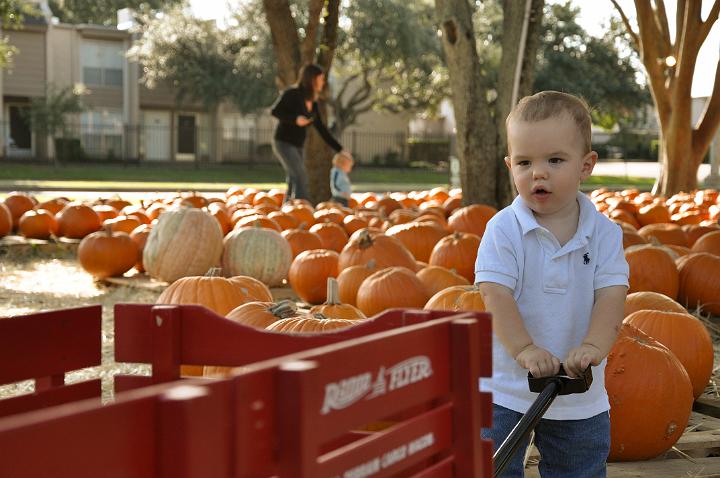 Downsized Image [PumpkinPatch-25.jpg - 5129kB]