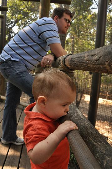 Jackson & Ross watching the monkeys