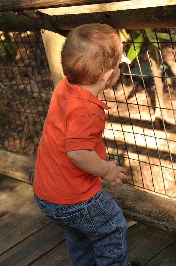 Downsized Image [Zoo-13.JPG - 5144kB]