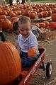 PumpkinPatch-01.JPG