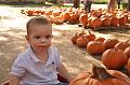 PumpkinPatch-03.JPG