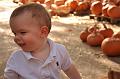 PumpkinPatch-04.JPG