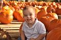 PumpkinPatch-05.JPG