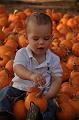 PumpkinPatch-16.JPG