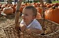 PumpkinPatch-19.jpg