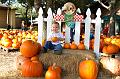 PumpkinPatch-21.jpg