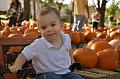 PumpkinPatch-24.jpg