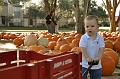 PumpkinPatch-25.jpg