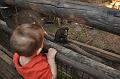 Zoo-09.JPG