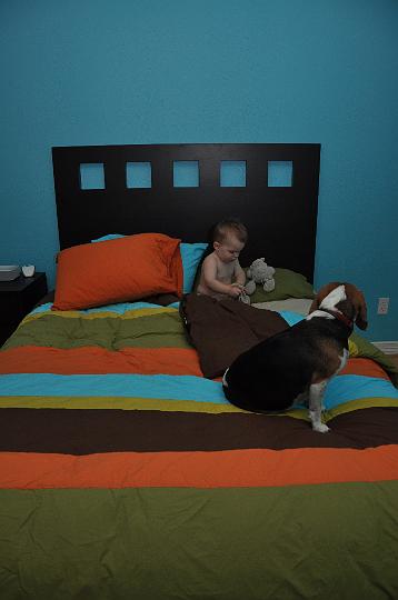 Jackson in his big boy bed!