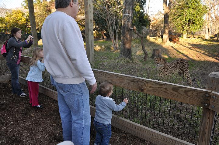 Jackson & Pop checking out the Cheetah