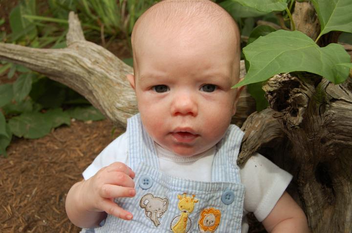 Jackson Sitting Outside