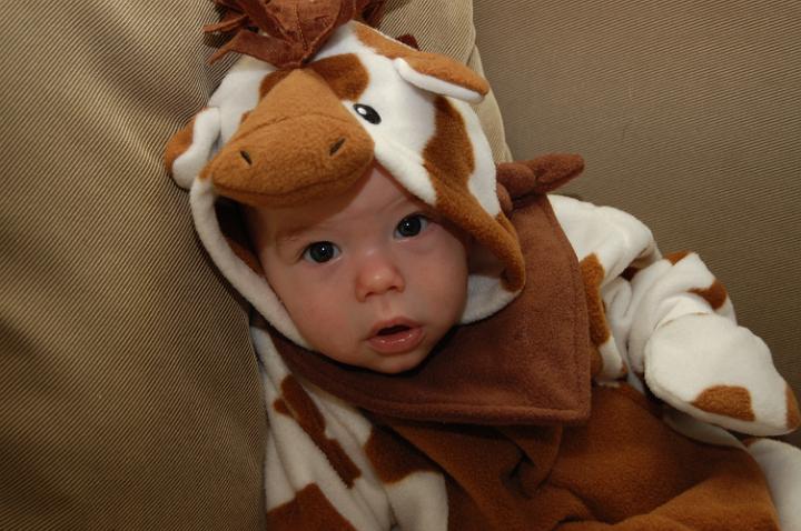 Jackson,the Giraffe @ 3 Months Old