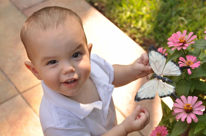 JD holding Butterfly