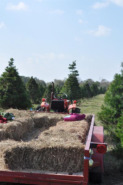 Hay Ride