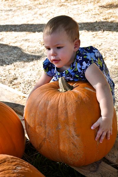 Audrey's pumpkin